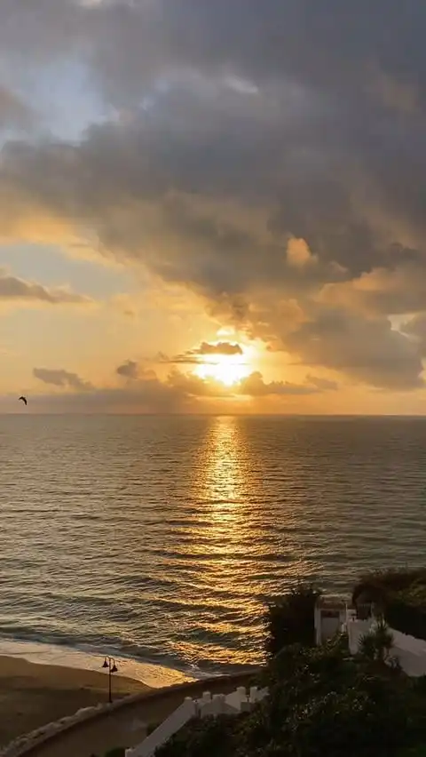 Boomerang