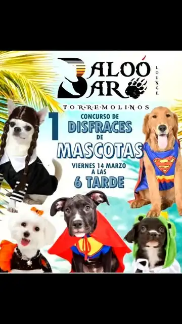 Primer concurso de mascotas