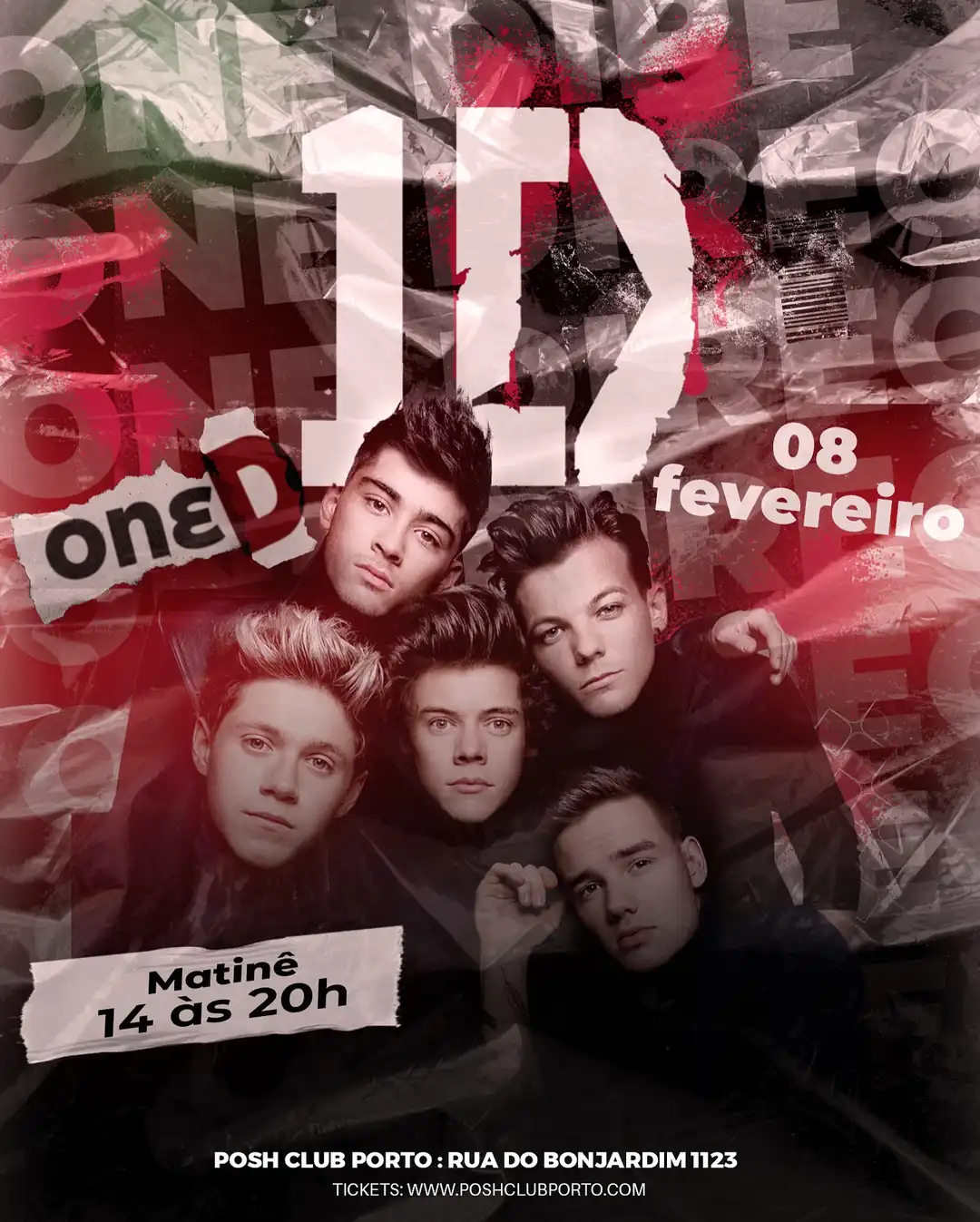 1D Party: A Festa dos Directioners